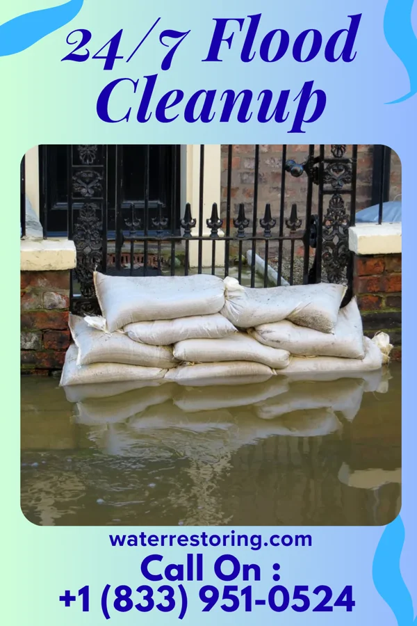 24/7 Flood Cleanup in Red Wing, MN