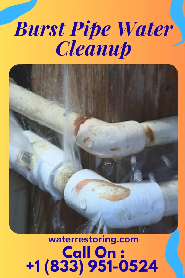 Burst Pipe Water Cleanup in Red Wing, MN