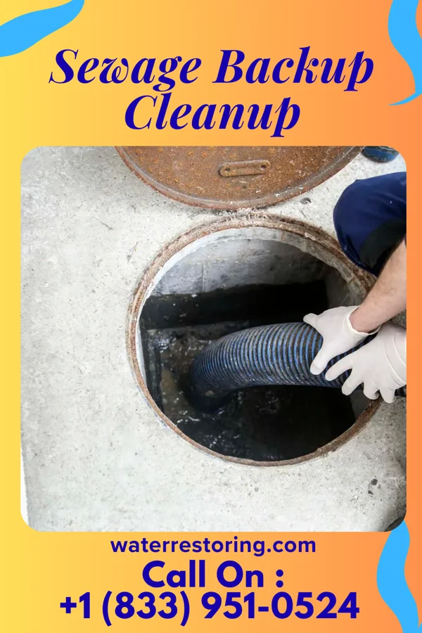 Sewage Backup Cleanup in Red Wing, MN